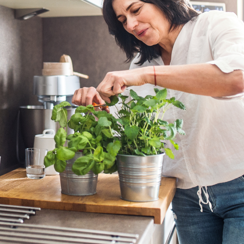 Žena strihá v kuchyni bylinky